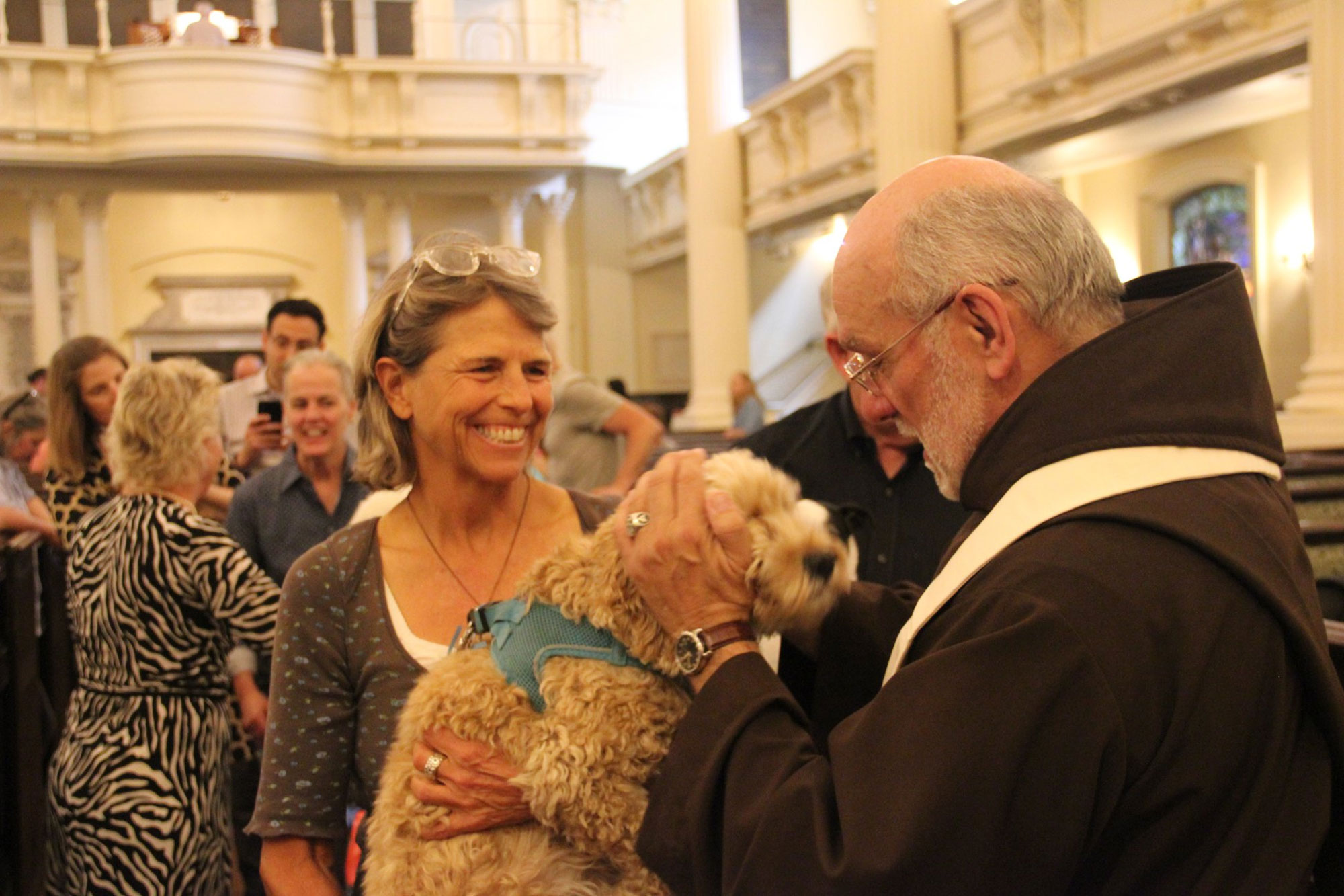 blessing-of-the-animals